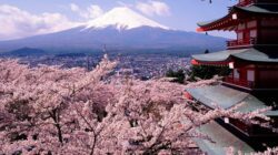 Liburan Ke Osaka, Jepang? Ini Tempat Yang Wajib Di Kunjungi