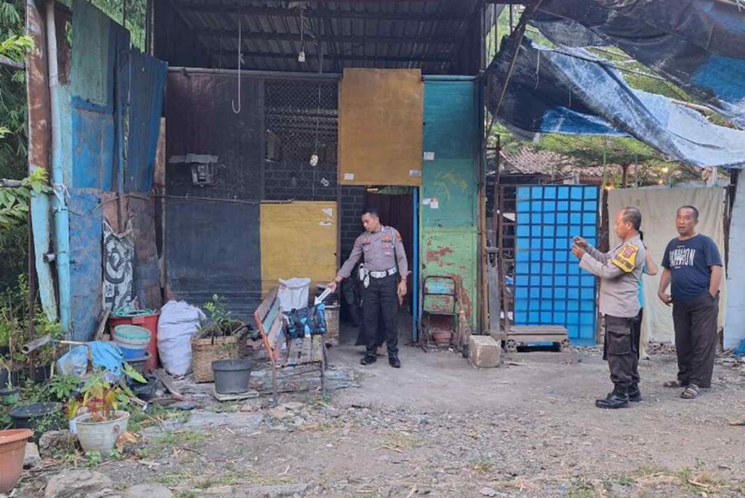 Kronologi Kasus Bayi Dibuang di Cepu Kabupaten Blora, dari Jepara Berakhir di Kursi Teras Rumah Warga di Cepu